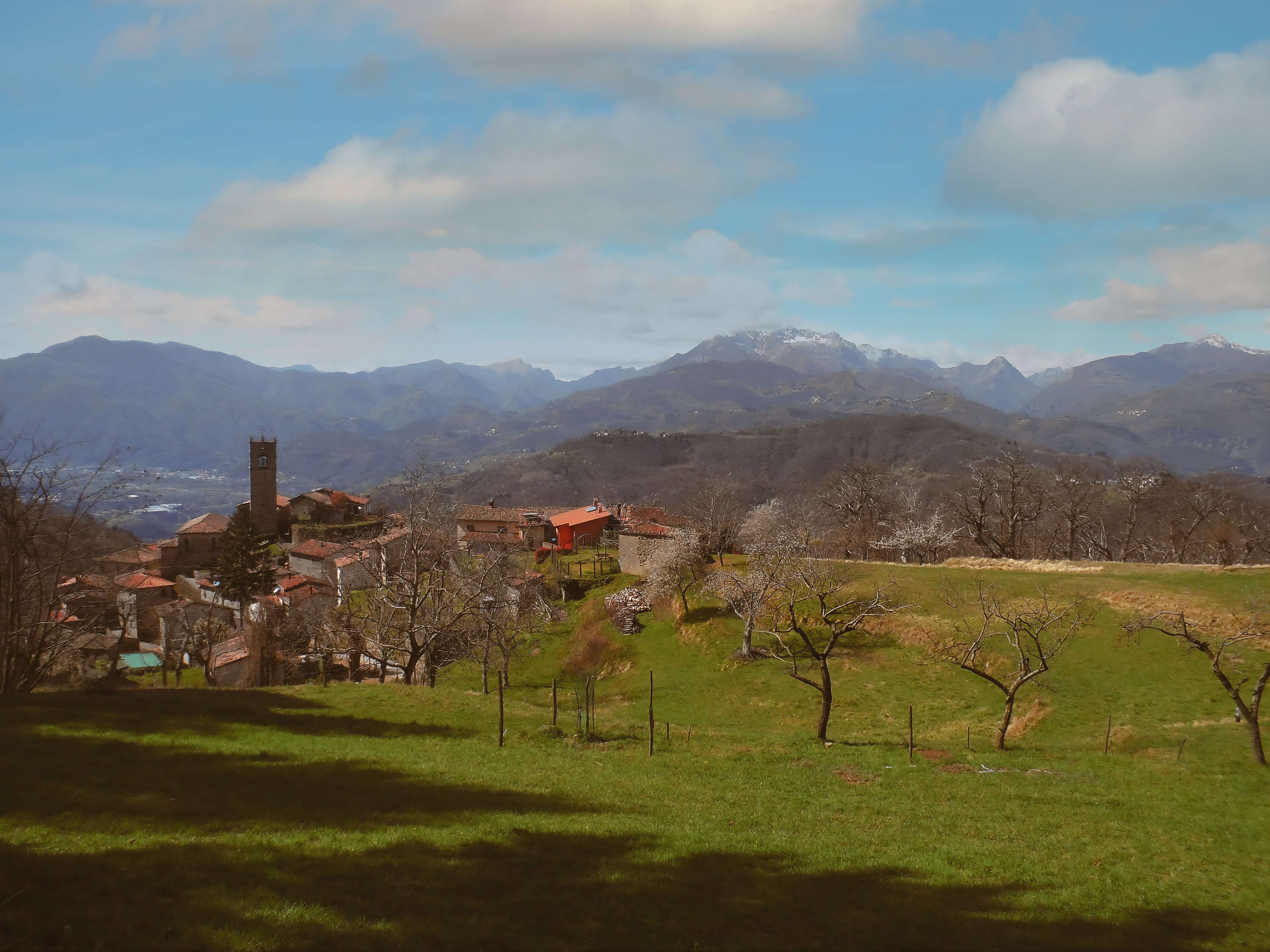 Mountain bike nei prati