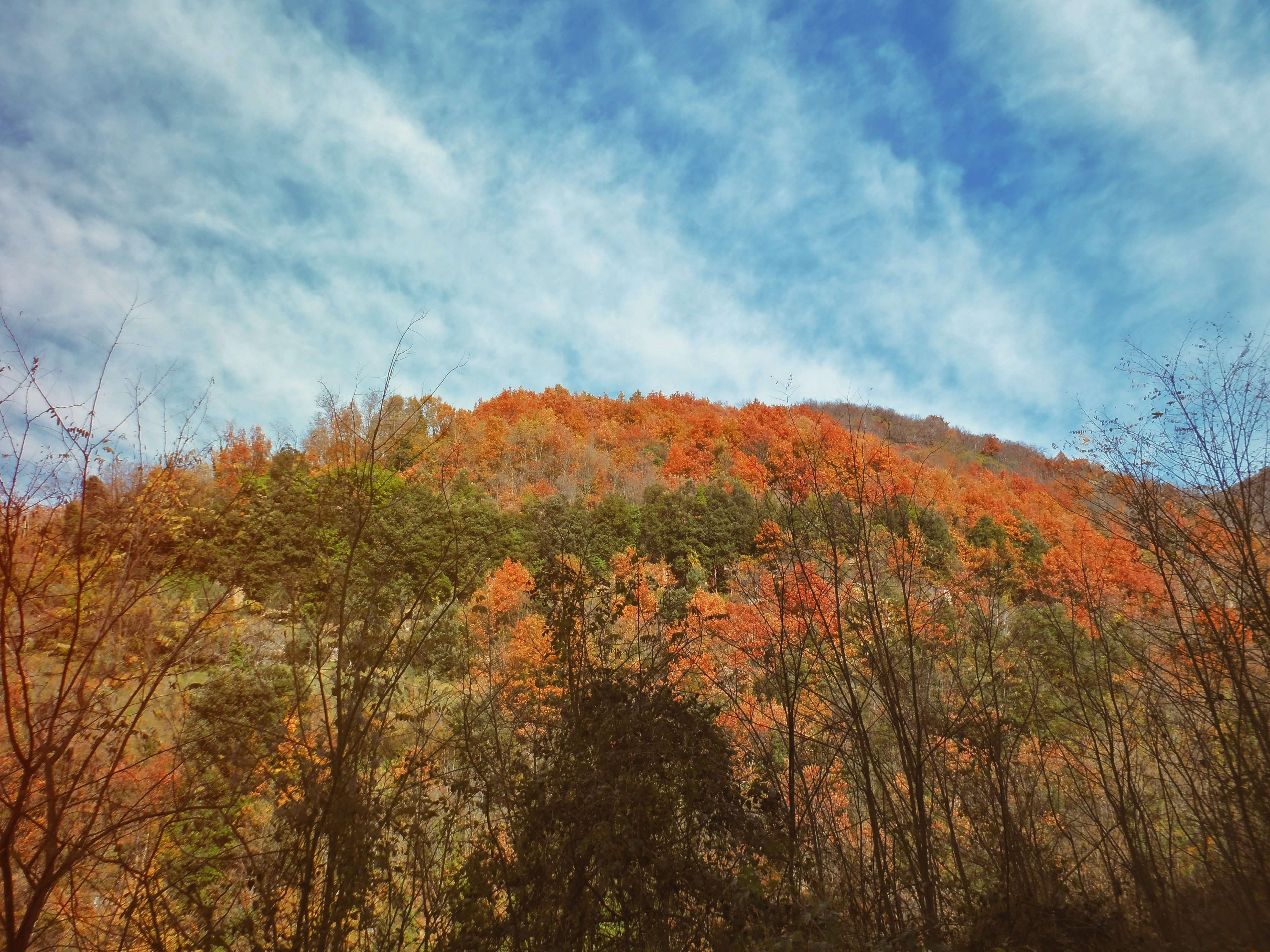 Sentiero montano in autunno