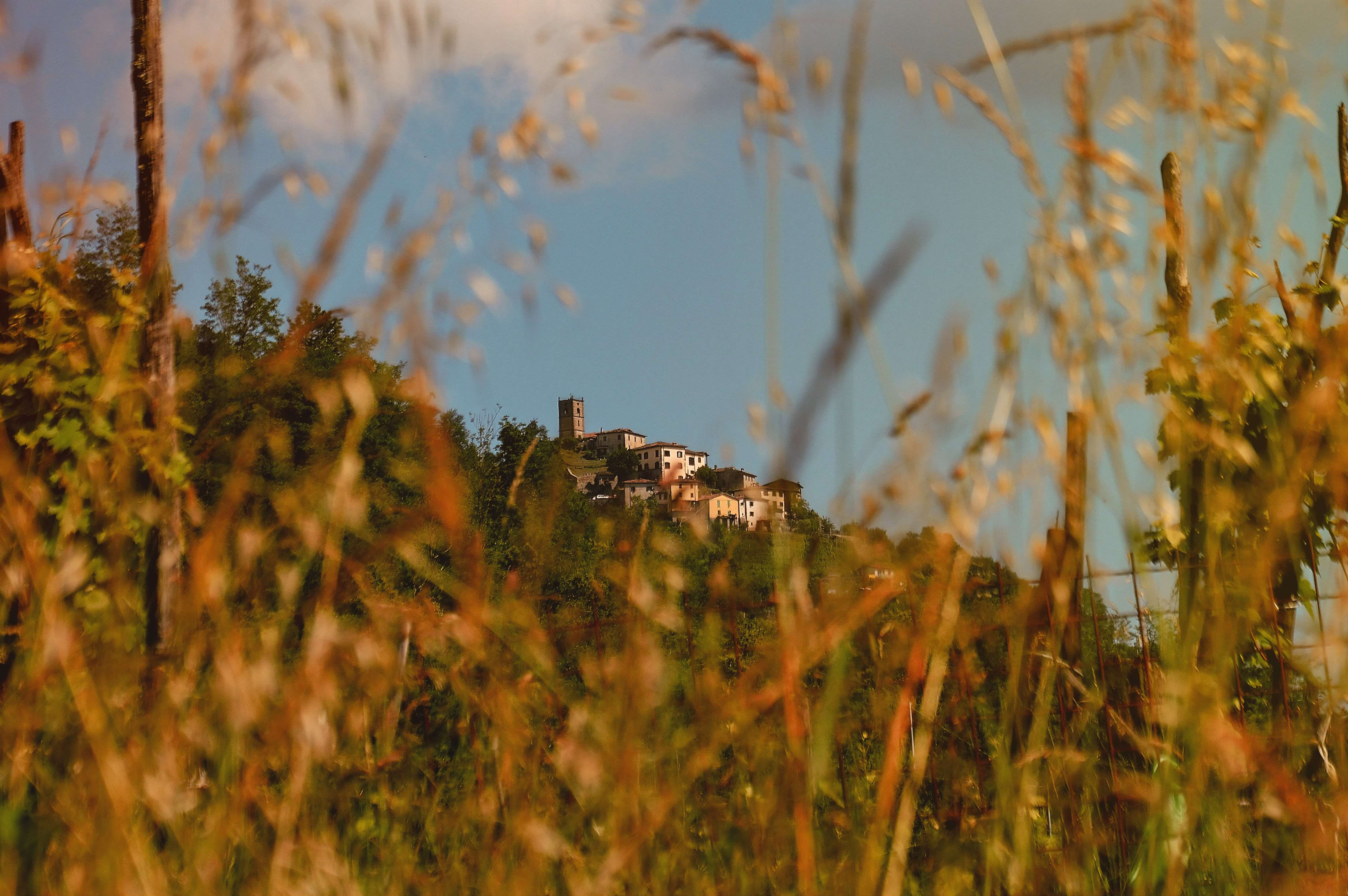 Treppignana vista del borgo
